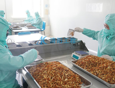 建設(shè)GMP中藥飲片車間的成本分析與清陽工程的重要性